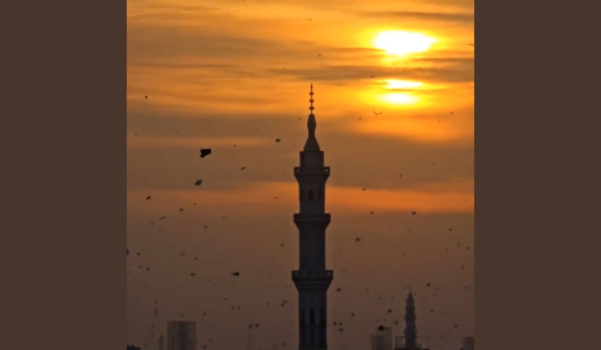 بسنت 2026: تین روزہ رنگین جشن اختتام پذیر