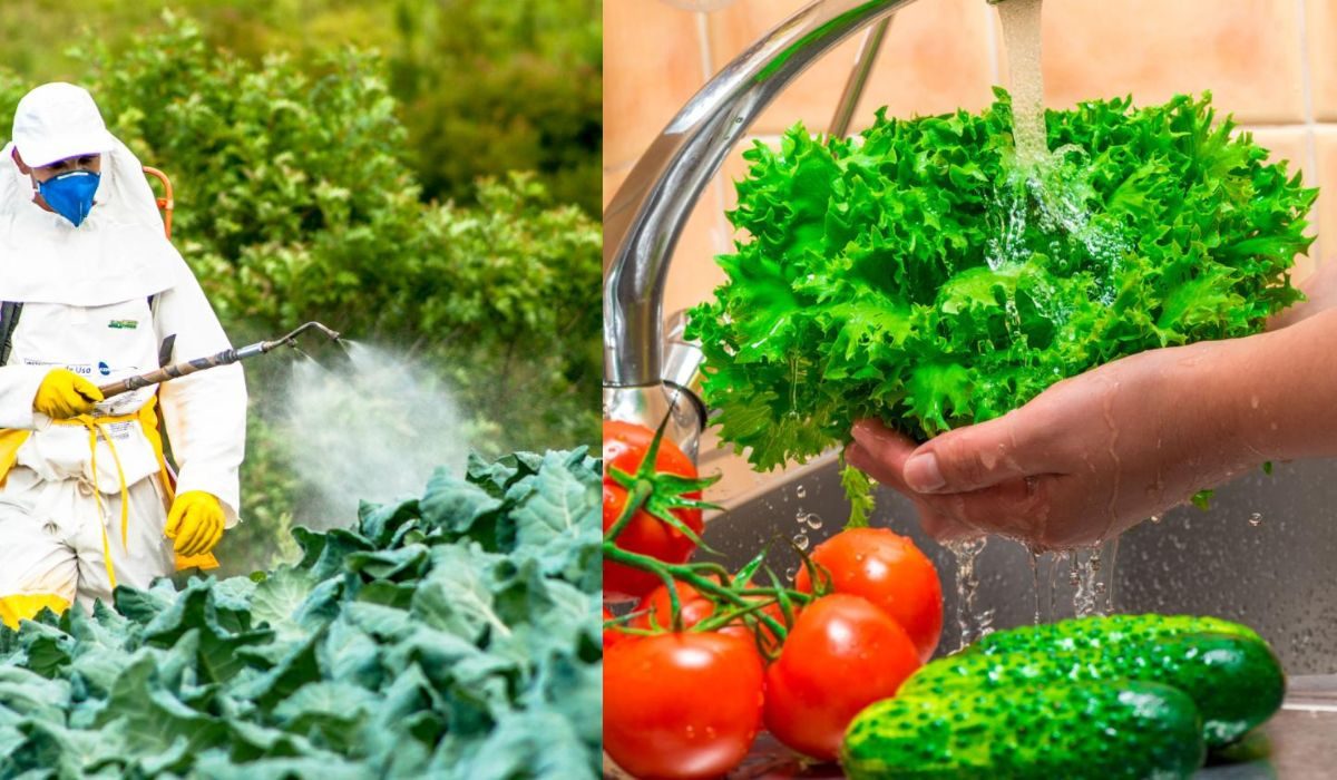زیادہ پھل اور سبزیاں کھانے سے کینسر کا خطرہ؟