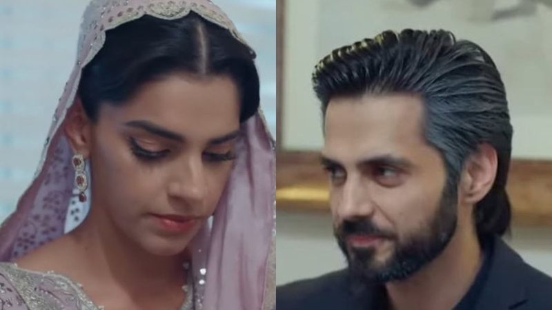 ‘کفیل’ کا جذباتی اختتام، مداحوں کی بھرپور پذیرائی