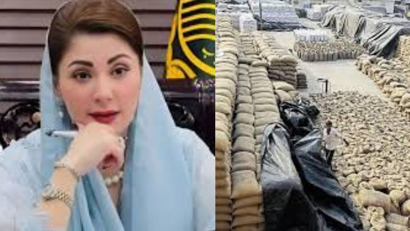 پنجاب کا نیا گندم خریداری نظام مشکلات کا شکار