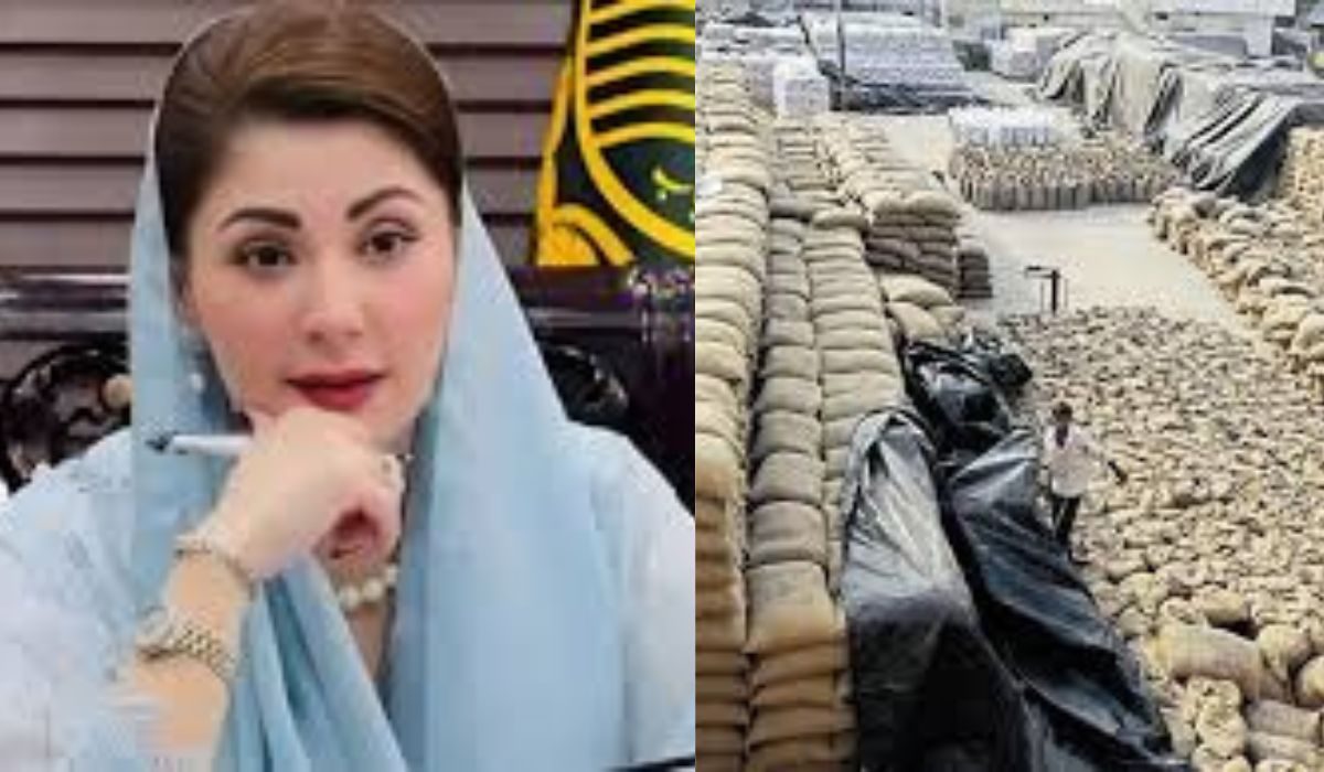 پنجاب کا نیا گندم خریداری نظام مشکلات کا شکار