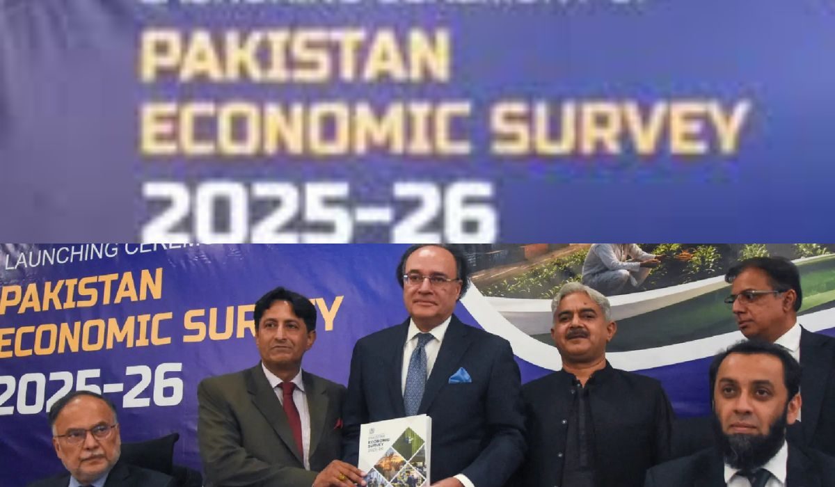 اقتصادی سروے 2025-26: شرح نمو 3.7 فیصد