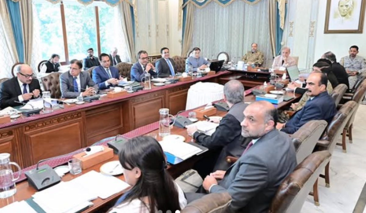 قومی انٹیگریٹڈ انرجی پلان 2060 تک منظور