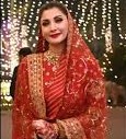 نواز شریف کے پوتے کی تلاوت اور مریم نواز کے سرخ جوڑے کی ویڈیو وائرل
