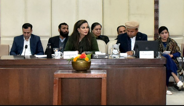 کاربن کا اخراج 43 فیصد ایندھن اور 31 فیصد کوئلے سے ہو رہا ہے: وزارت توانائی